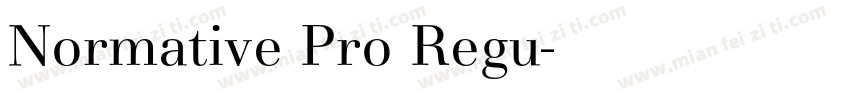 Normative Pro Regu字体转换